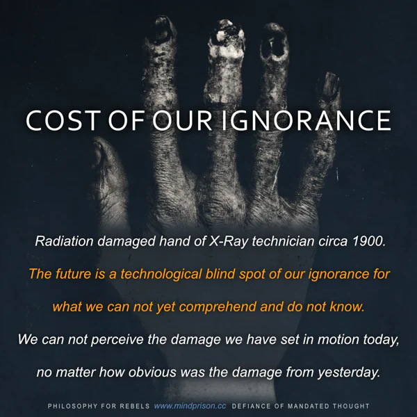 Philosophy for Rebels - 1.34: Cost of Our Ignorance