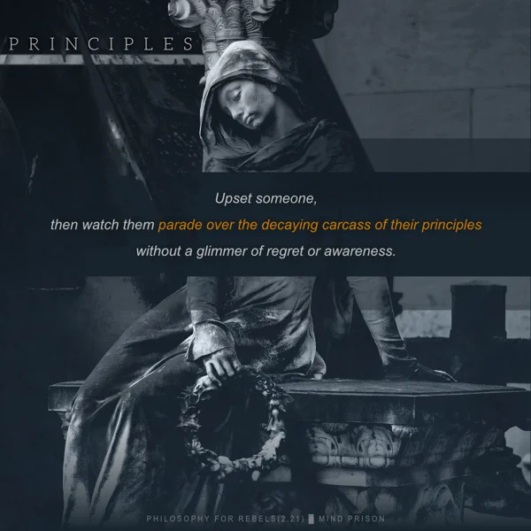 Philosophy for Rebels - 2.21: Principles