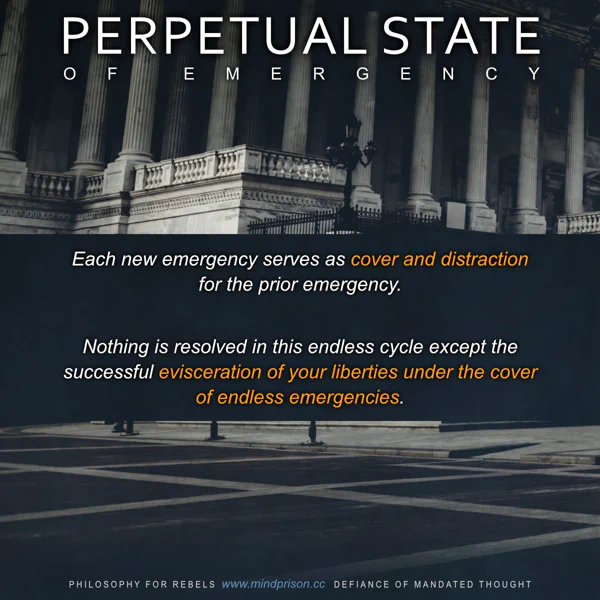 Philosophy for Rebels - 2.32: Perpetual State of Emergency