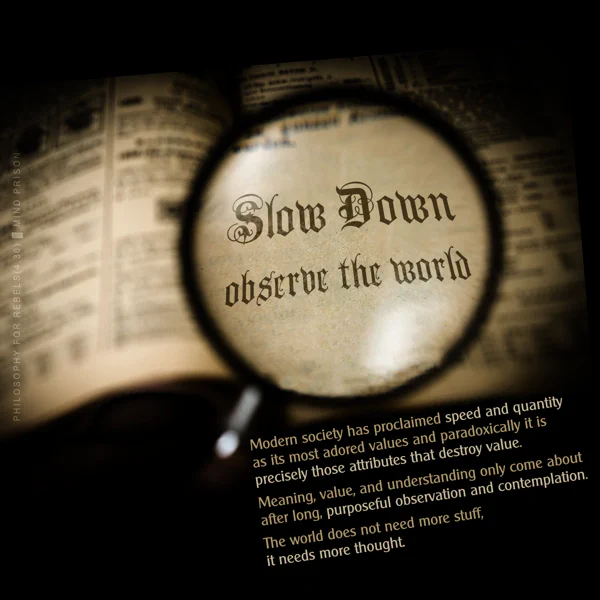 Philosophy for Rebels - 4.30: Observe The World